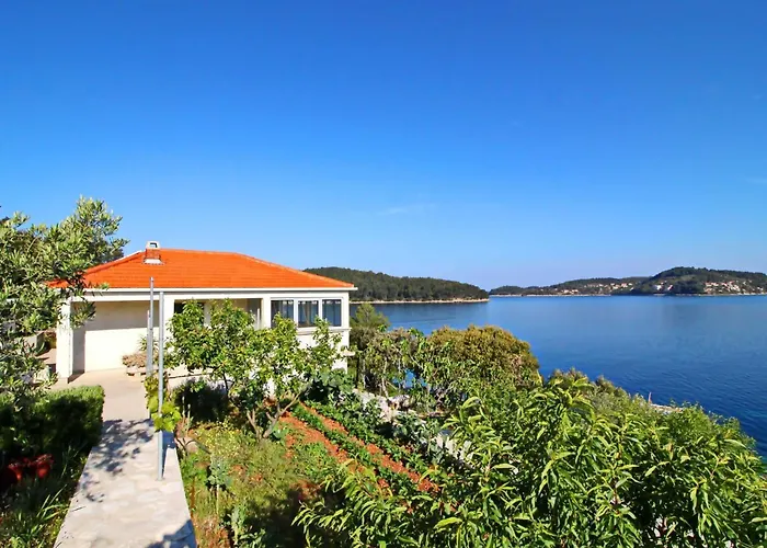 Katica - One Bedroom With Terrace And Sea View Nyaraló Vela Luka