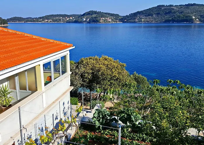 Nyaraló Katica - One Bedroom With Terrace And Sea View Vela Luka